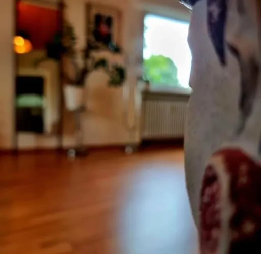 Tara - Ruhige Oase Nahe Frankfurt Am Main Apartmán *